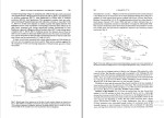 دانلود پی دی اف کتاب چینه نگاری توالی لرزه ای زمین 229 صفحه PDF – نوشته به لاتین-1
