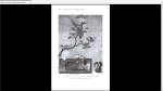 دانلود پی دی اف کتاب مکتب نگارگری هرات یعقوب آژند 408 صفحه PDF-1