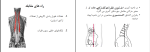 برای بزرگنمایی کلیک کنید دانلود پی دی اف کتاب حرکت درمانی دکتر هومن مینونژاد 524 صفحه PDF-1