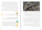 برای بزرگنمایی کلیک کنید دانلود پی دی اف کتاب جامعه شناسی 1 علی انتظاری 145 صفحه PDF-1