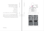 دانلود پی دی اف کتاب حرکت شناسی در بدنسازی ابوالفضل زاهدی 42 صفحه PDF-1