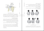 دانلود پی دی اف کتاب حرکت شناسی در بدنسازی ابوالفضل زاهدی 42 صفحه PDF-1