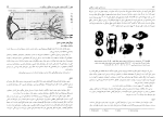 برای بزرگنمایی کلیک کنید دانلود پی دی اف کتاب زیست شناسی سلولی و مولکولی احمد مجد 574 صفحه PDF-1