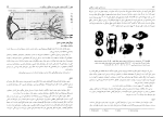 دانلود پی دی اف کتاب زیست شناسی سلولی و مولکولی احمد مجد 574 صفحه PDF-1