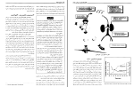 دانلود پی دی اف کتاب فیزیولوژی ورزش حجت الله نیک بخت 278 صفحه PDF-1
