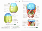 دانلود پی دی اف کتاب آناتومی عمومی ایمانه شمایلی یگانه 343 صفحه PDF-1