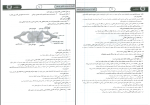 برای بزرگنمایی کلیک کنید دانلود پی دی اف کتاب الگو تا رتبه زیست کنکور یازدهم حرف آخر 272 صفحه PDF-1
