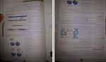 دانلود پی دی اف کتاب فاگوزیست زیست شناسی دوازدهم فردین جوادی 384 صفحه PDF-1