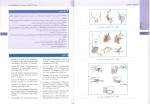برای بزرگنمایی کلیک کنید دانلود پی دی اف کتاب ارولوژی عمومی ناصر سیم فروش 264 صفحه PDF-1