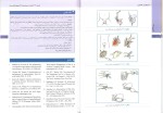 دانلود پی دی اف کتاب ارولوژی عمومی ناصر سیم فروش 264 صفحه PDF-1