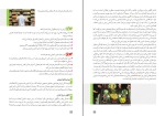 برای بزرگنمایی کلیک کنید دانلود پی دی اف کتاب اقتصاد پایه دهم رشته علوم انسانی و یازدهم معارف 176 صفحه PDF-1