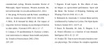 برای بزرگنمایی کلیک کنید دانلود مقاله قشر مغز در طول خستگی ناشی از رکاب زدن 13 صفحه Word-1