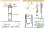 برای بزرگنمایی کلیک کنید دانلود پی دی اف کتاب آناتومی گری جلد دوم اندام غلامرضا حسن زاده 280 صفحه pdf-1