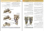 برای بزرگنمایی کلیک کنید دانلود پی دی اف کتاب آناتومی گری جلد دوم اندام غلامرضا حسن زاده 280 صفحه pdf-1