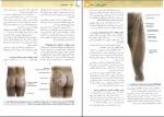 برای بزرگنمایی کلیک کنید دانلود پی دی اف کتاب آناتومی گری جلد دوم اندام غلامرضا حسن زاده 280 صفحه pdf-1
