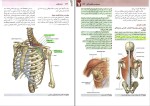 دانلود پی دی اف کتاب آناتومی گری جلد دوم اندام غلامرضا حسن زاده 280 صفحه pdf-1
