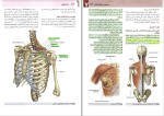 برای بزرگنمایی کلیک کنید دانلود پی دی اف کتاب آناتومی گری جلد دوم اندام غلامرضا حسن زاده 280 صفحه pdf-1