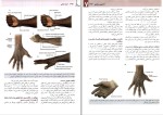 دانلود پی دی اف کتاب آناتومی گری جلد دوم اندام غلامرضا حسن زاده 280 صفحه pdf-1