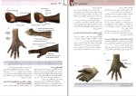 برای بزرگنمایی کلیک کنید دانلود پی دی اف کتاب آناتومی گری جلد دوم اندام غلامرضا حسن زاده 280 صفحه pdf-1