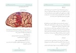 برای بزرگنمایی کلیک کنید دانلود پی دی اف کتاب به ترس و صحبت کن امیرحسین میرابوالقاسمی 41 صفحه PDF-1