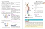 دانلود پی دی اف کتاب اصطلاحات پزشکی وبلاگ راهنمای ترشح کننده ویلیامز و وبلکینز 704 صفحه PDF-1