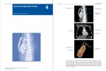 دانلود پی دی اف کتاب اصطلاح پزشکی آناتومی بدن ماسیمو سیلوا وسونیا فولسینیتی 220 صفحه PDF-1