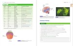 دانلود پی دی اف کتاب اصطلاحات پزشکی وبلاگ راهنمای ترشح کننده ویلیامز و وبلکینز 704 صفحه PDF-1