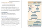 دانلود پی دی اف کتاب درمانگاه مدیریت دانشیار رونالد اف وآلوین سی برنز 490 صفحه PDF-1
