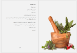 برای بزرگنمایی کلیک کنید دانلود پی دی اف کتاب سلامت دندان و دهان لقمان محمدیان 35 صفحه PDF-1