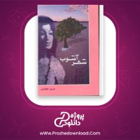 دانلود پی دی اف کتاب شهر آشوب مریم جعفری 551 صفحه PDF