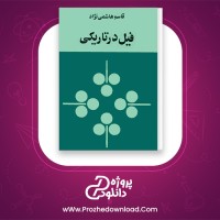 دانلود پی دی اف  کتاب فیل در تاریکی قاسم هاشمی نژاد 148 صفحه PDF