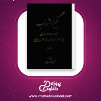 دانلود پی دی اف کتاب گنجینه شهاب جلد دوم سید محمود مرعشی نجفی 502 صفحه PDF