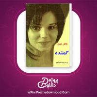 دانلود پی دی اف کتاب گمشده دانیل استیل 307 صفحه PDF