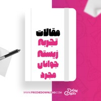 معرفی و دانلود مقاله تجربه زیسته جوانان مجرد ،زینب رضایی